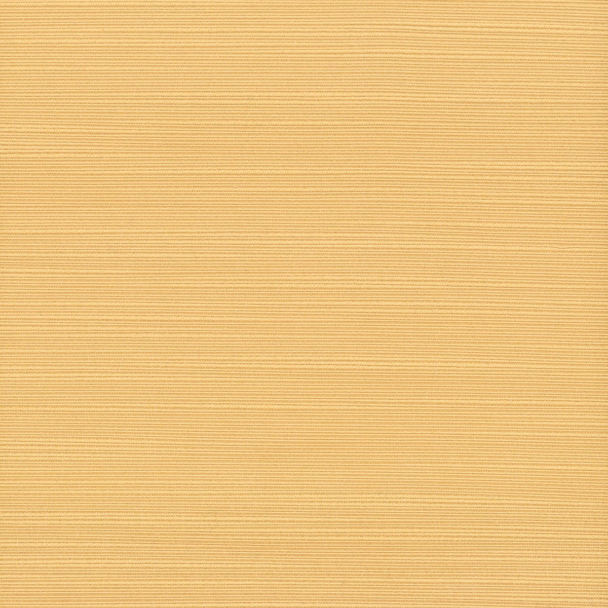 ADMIRE 44 BUTTERSCOTCH