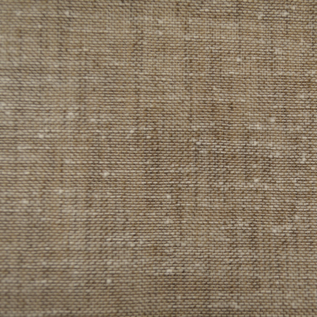 ANGEL WALNUT