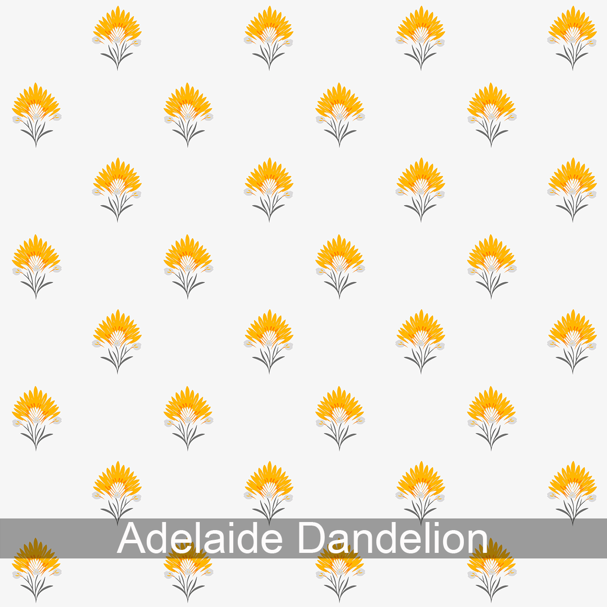 Adelaide Wallpaper