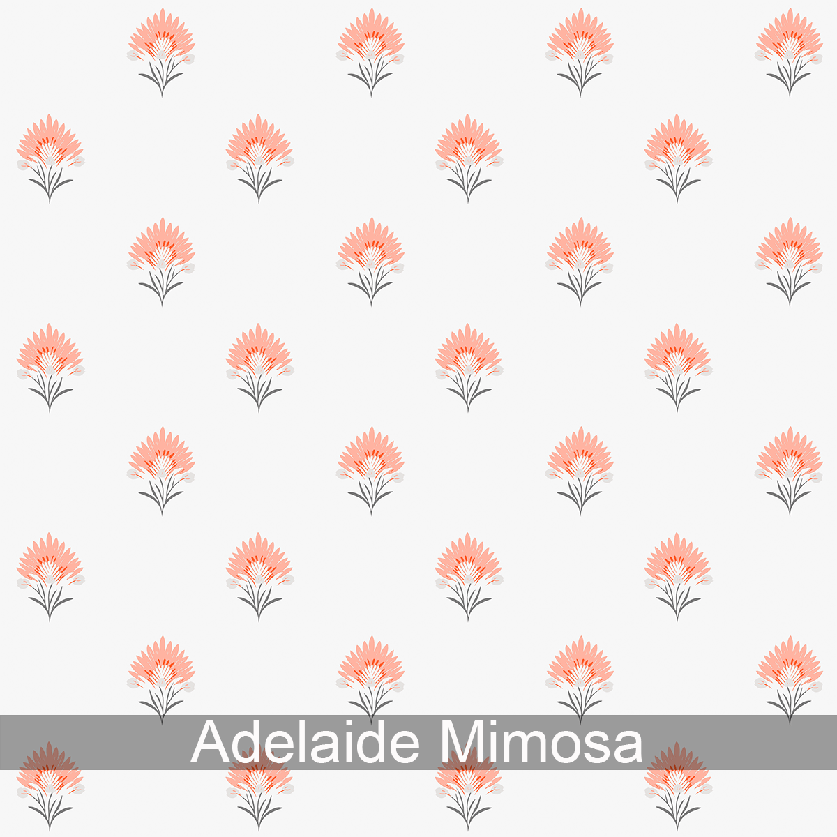 Adelaide Wallpaper