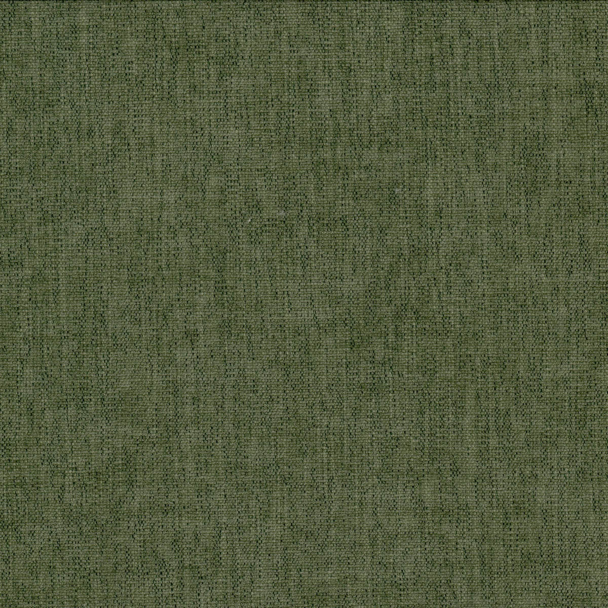 BETA 2 MOSS