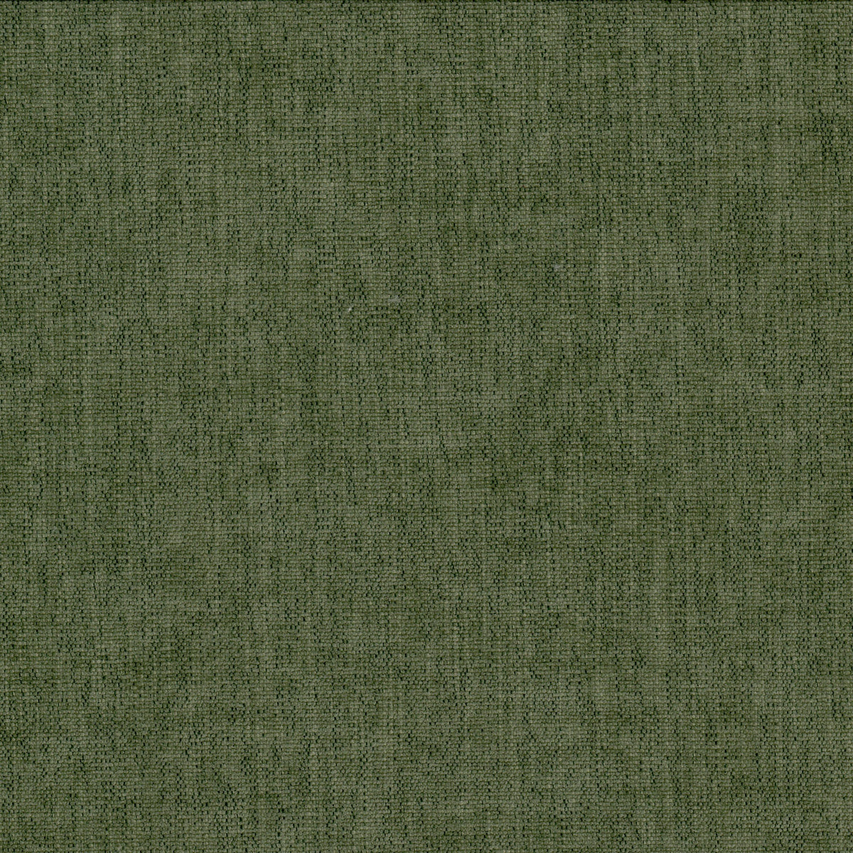 BETA 2 MOSS