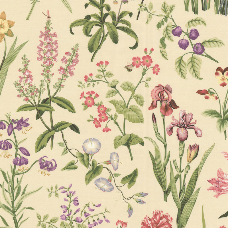 STOUT BIANCA 1 HIBISCUS Fabric | Atlanta Fabrics