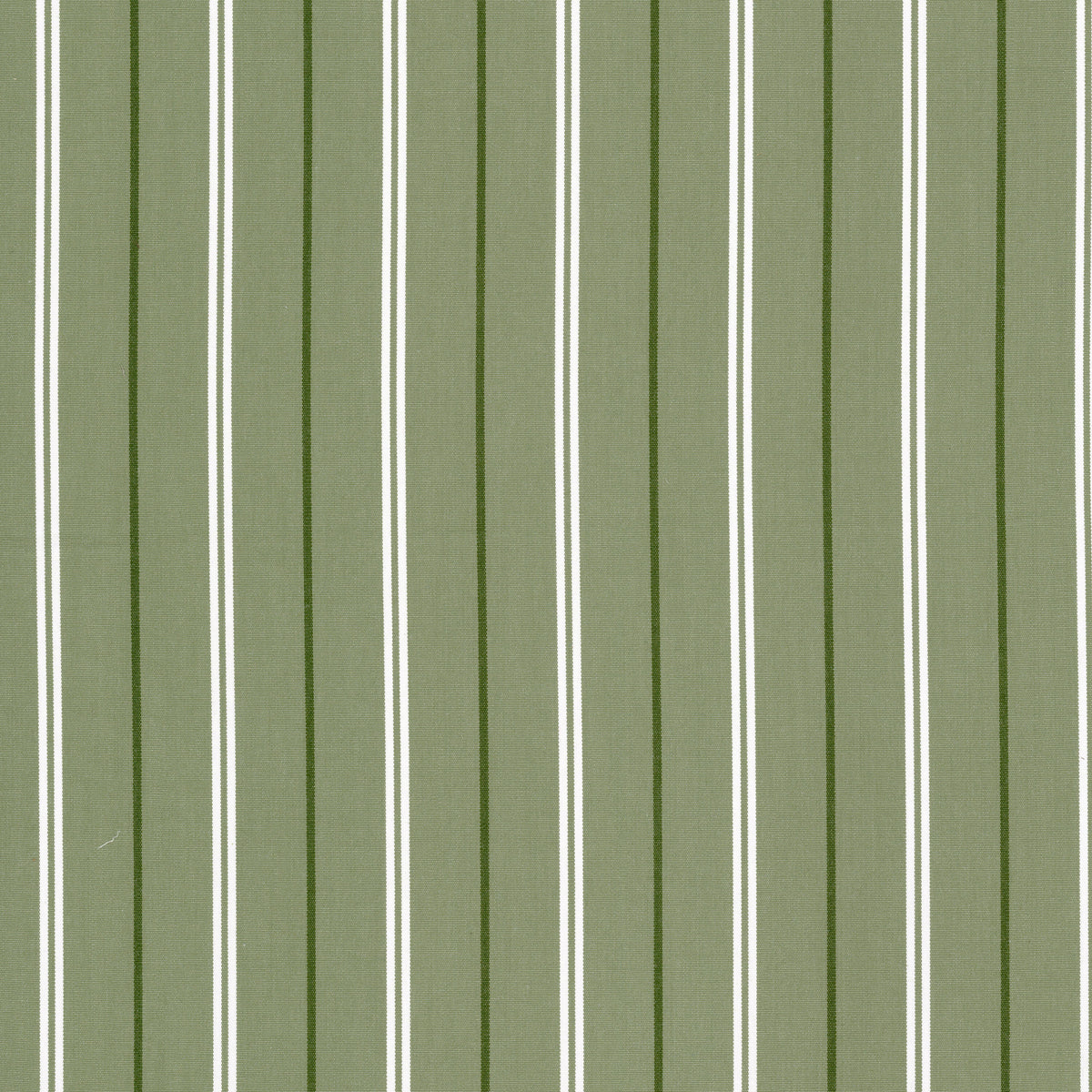 BORETTI 1 PISTACHIO