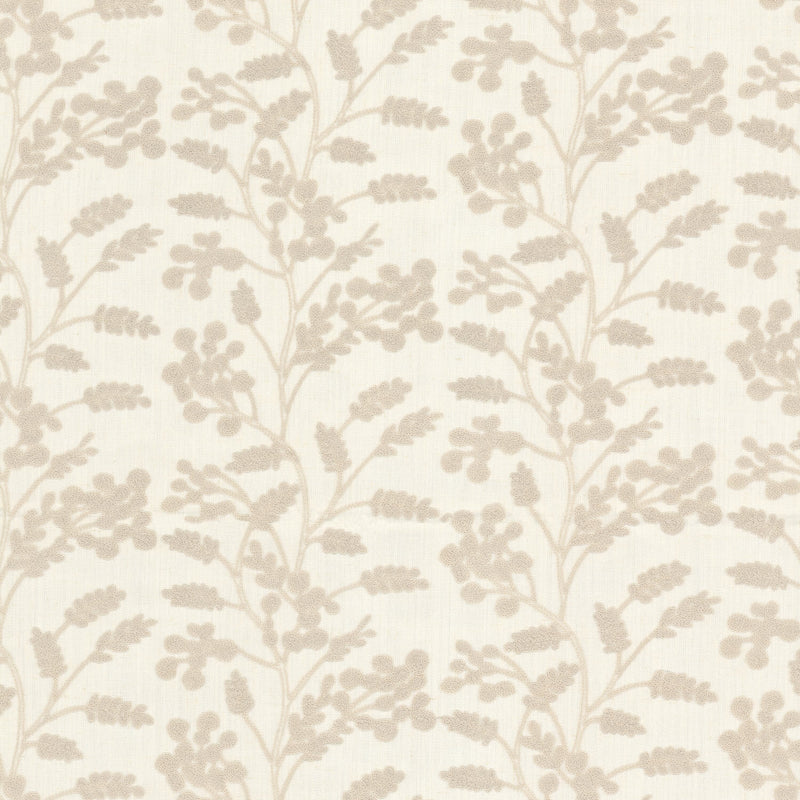 STOUT BOTTEGA 1 BIRCH Fabric | Atlanta Fabrics