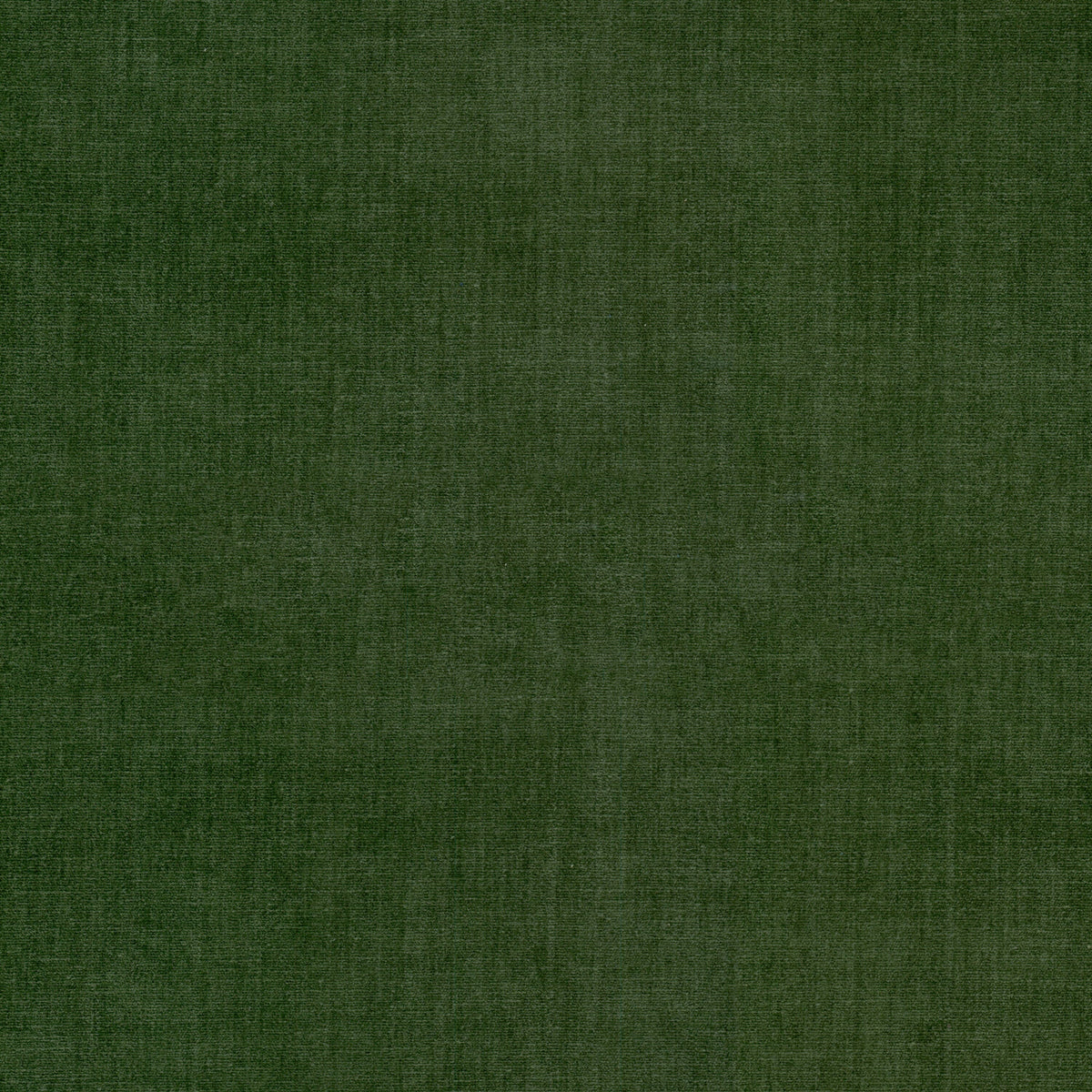 STOUT BOUNTIFUL 13 BOTTLE Fabric | Atlanta Fabrics