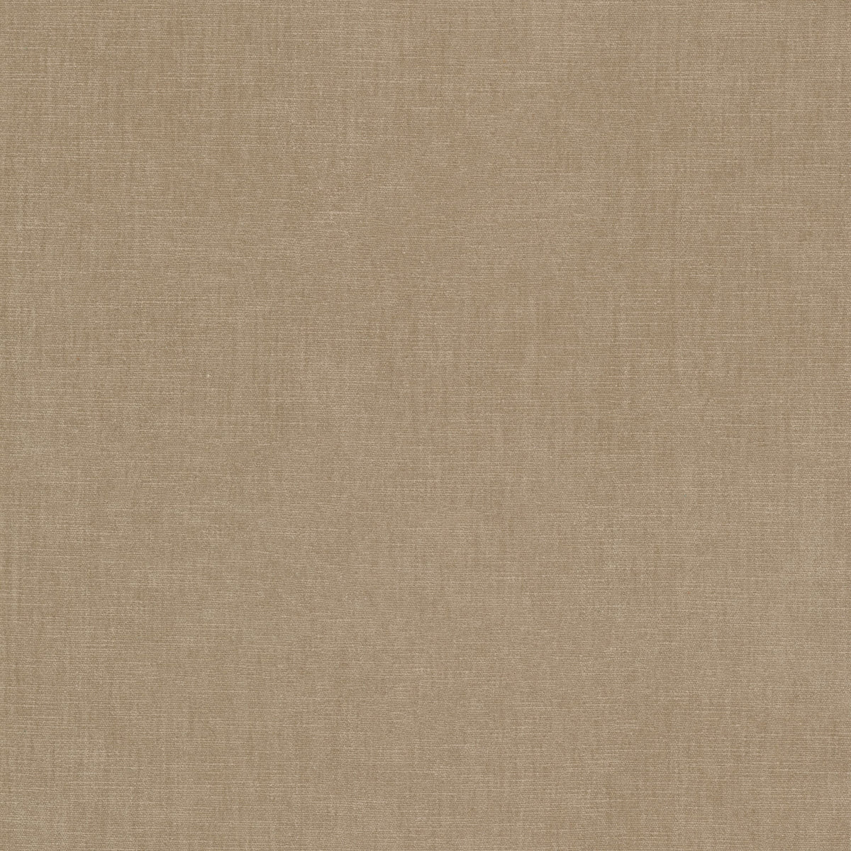 STOUT BOUNTIFUL 14 CAMEL Fabric | Atlanta Fabrics