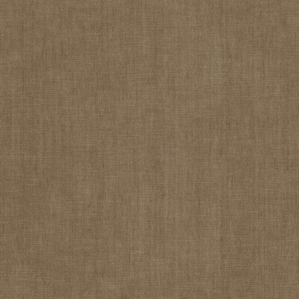 BOUNTIFUL 33 RAFFIA