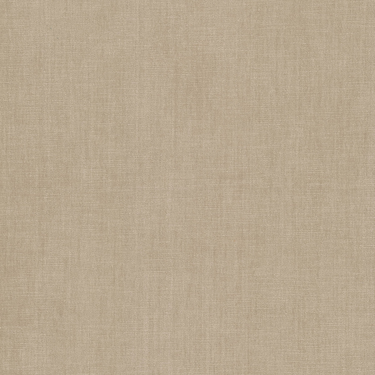 STOUT BOUNTIFUL 36 PUTTY Fabric | Atlanta Fabrics