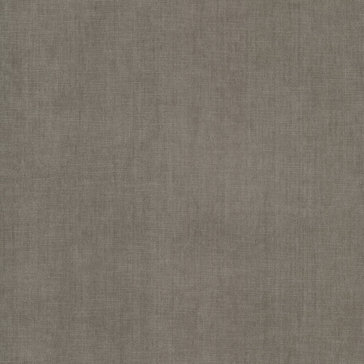 STOUT BOUNTIFUL 38 SMOKE Fabric | Atlanta Fabrics