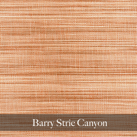 Barry Strie Pillow