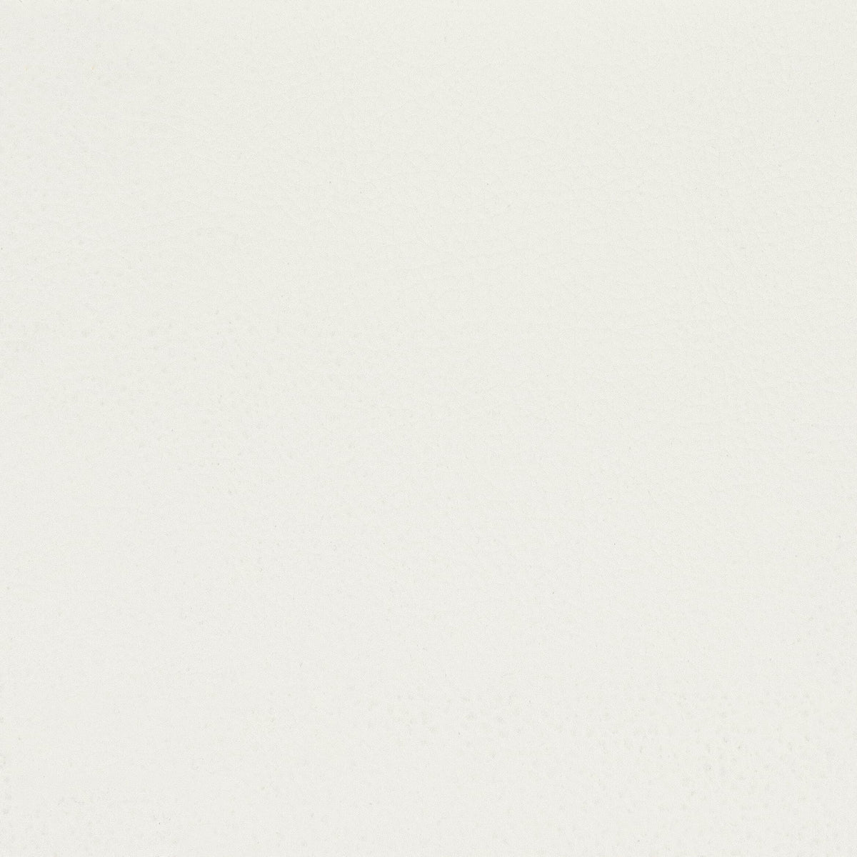 STOUT CLASSIC 3 NATURAL Fabric | Atlanta Fabrics