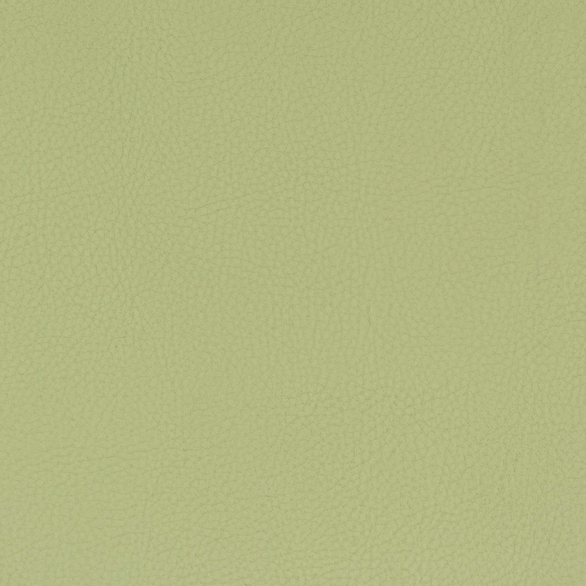 STOUT CLASSIC 8 PISTACHIO Fabric | Atlanta Fabrics