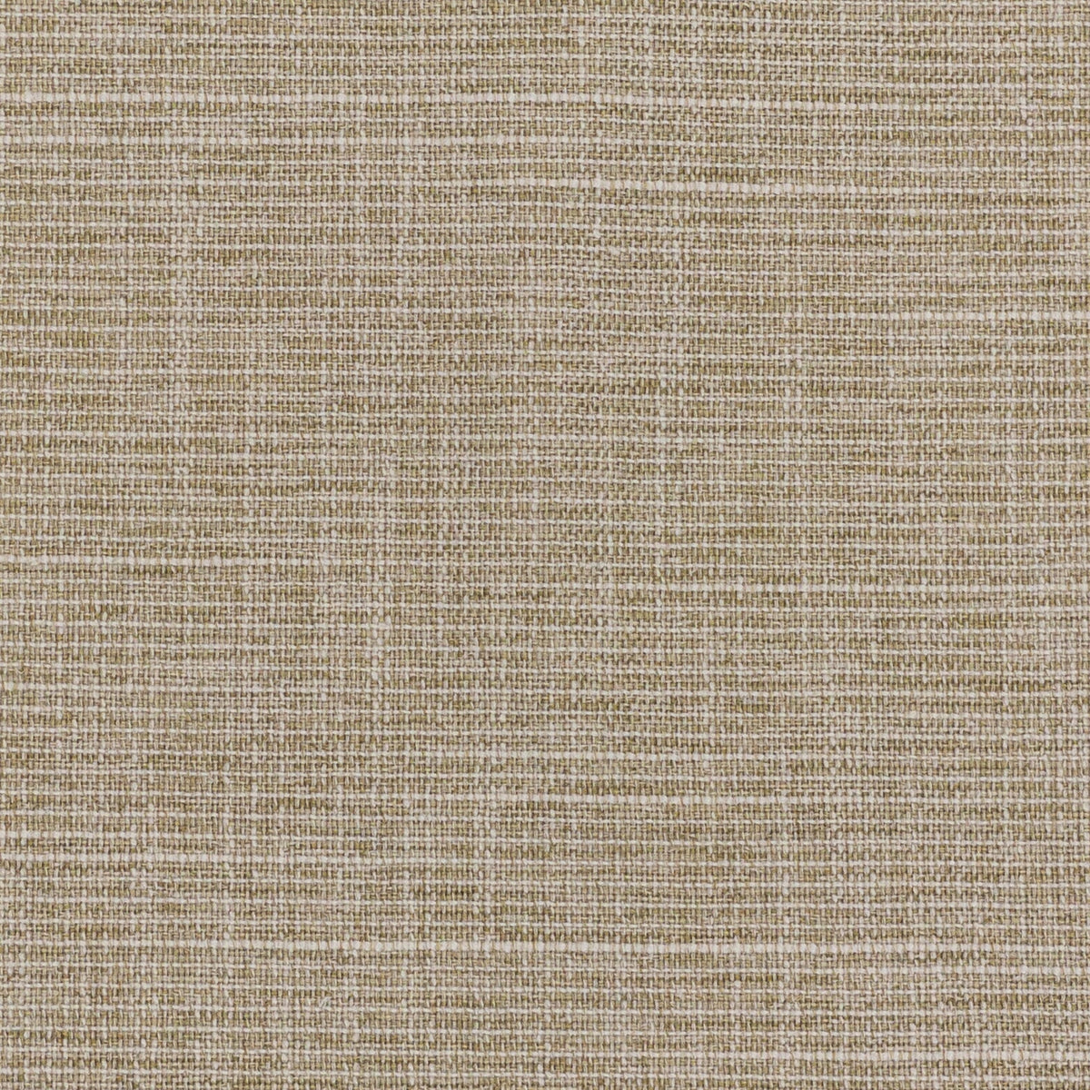 CRATER 7 RAFFIA