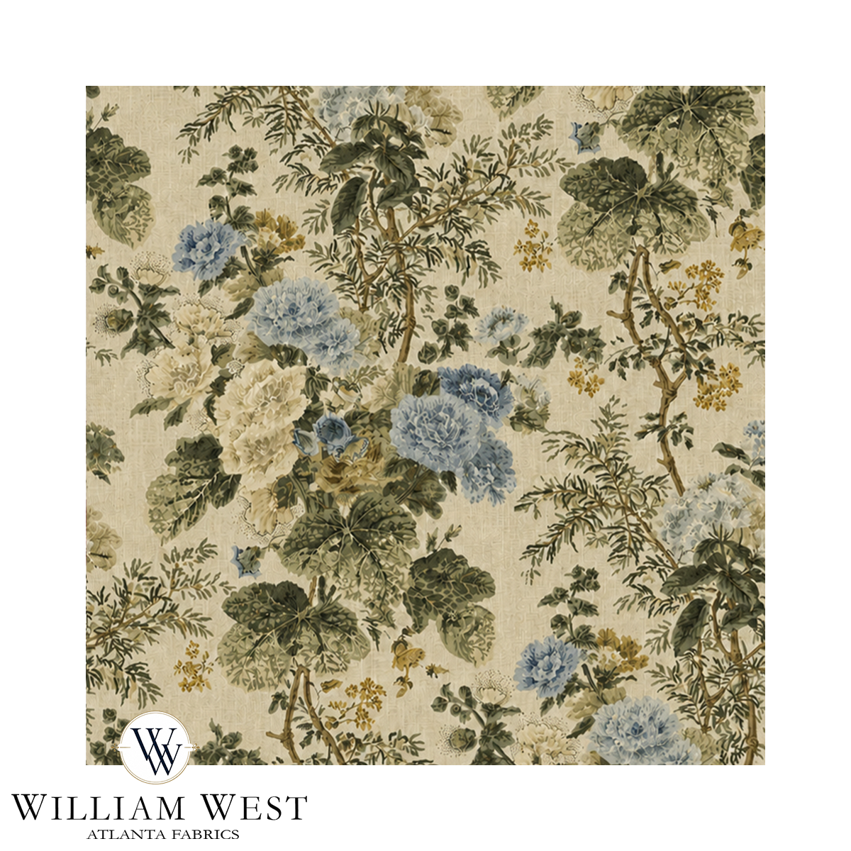 Cape Floral Sage