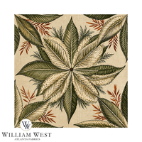 Caraway Olive