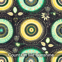 Count On Me Pillow Sham