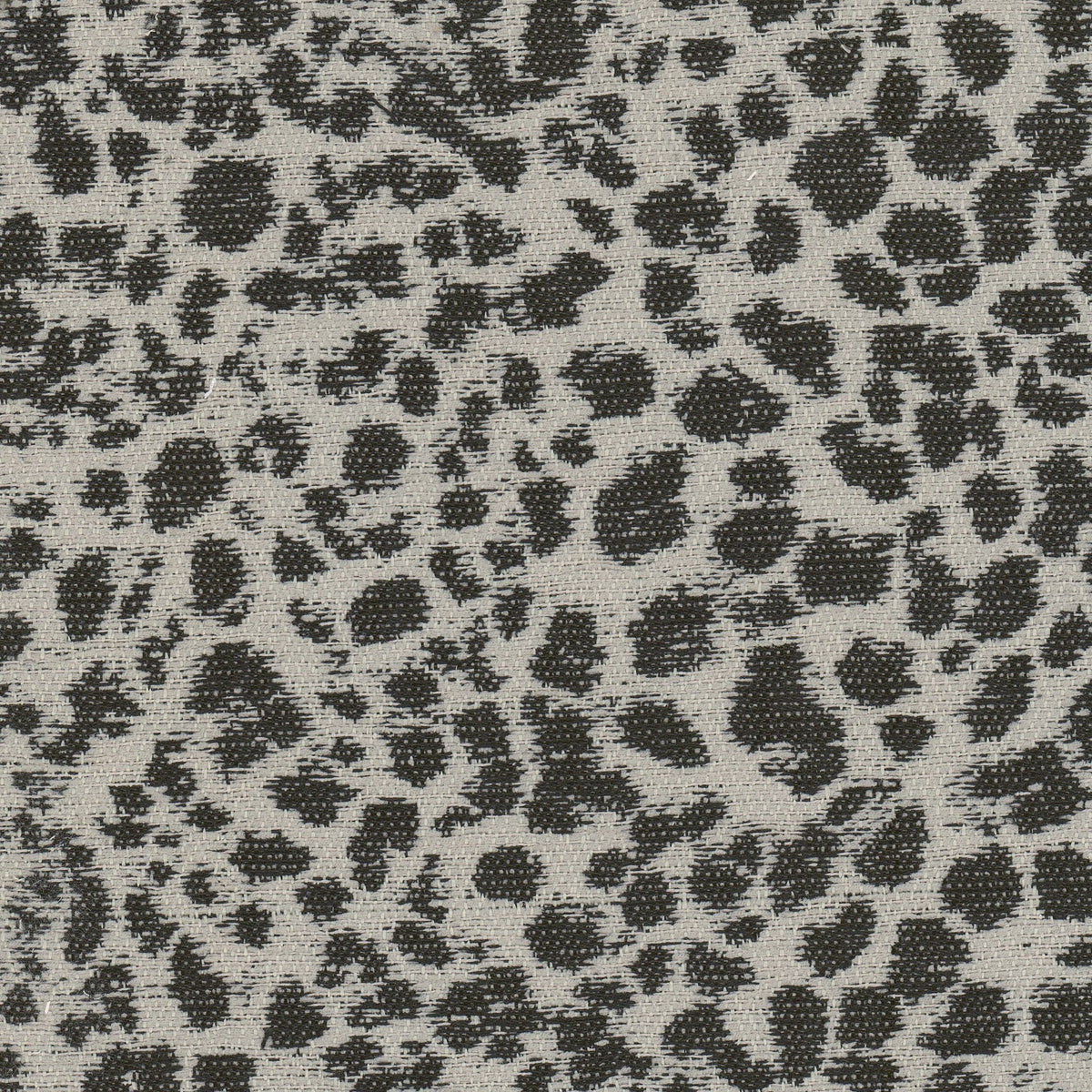 DALMATION 4 BLACK/CAMEL