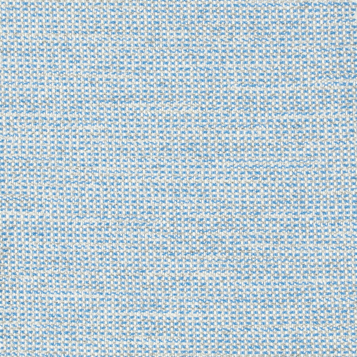 DERBY 6 BLUEBIRD