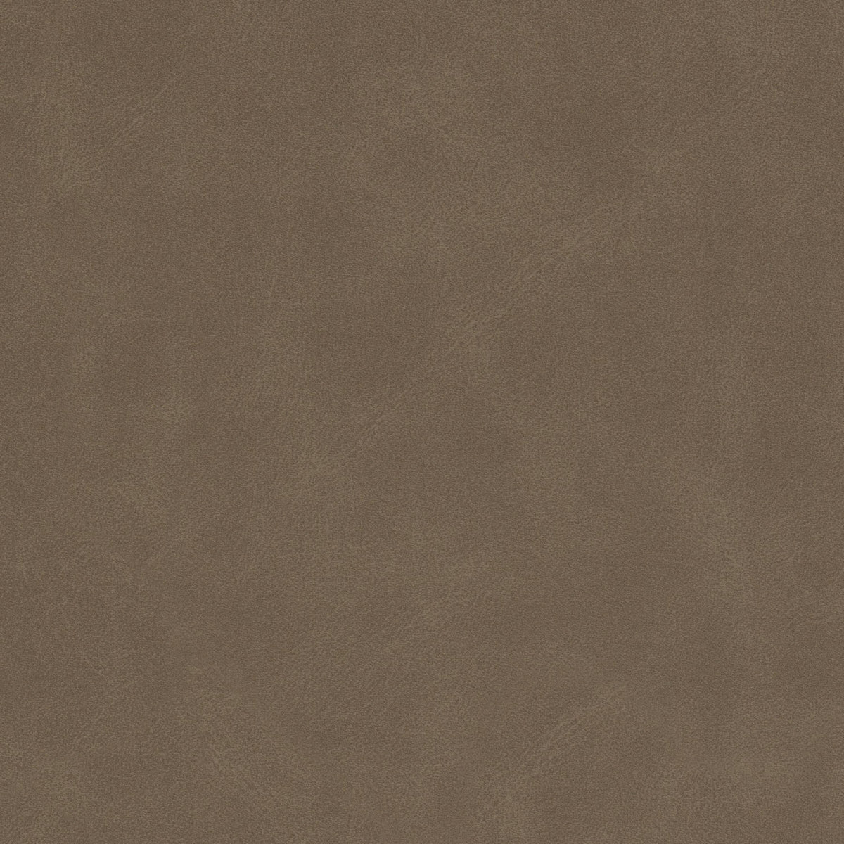 STOUT DETERMINE 1 TWIG Fabric | Atlanta Fabrics