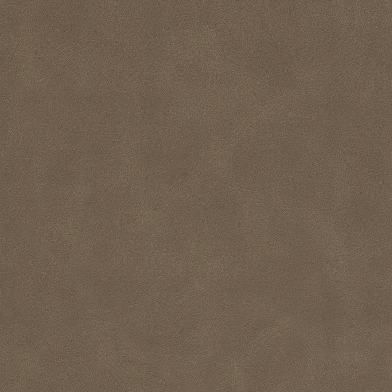 STOUT DETERMINE 1 TWIG Fabric | Atlanta Fabrics