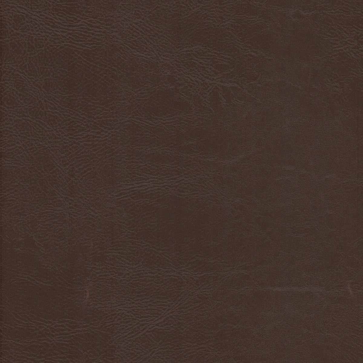 STOUT DEWDROP 3 RAISIN Fabric | Atlanta Fabrics