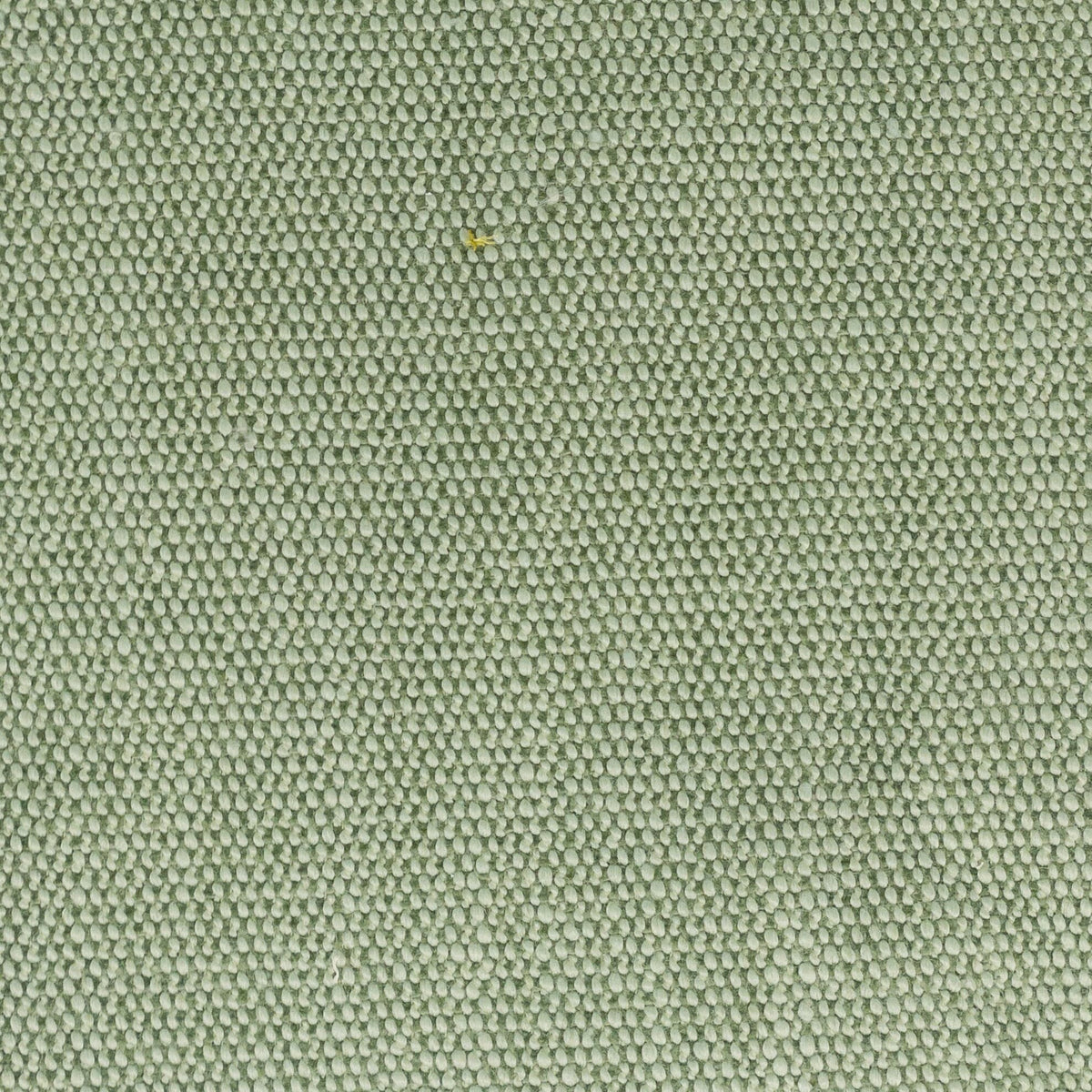 STOUT DIMITRI 1 SEEDLING Fabric | Atlanta Fabrics
