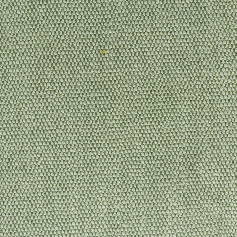 STOUT DIMITRI 1 SEEDLING Fabric | Atlanta Fabrics