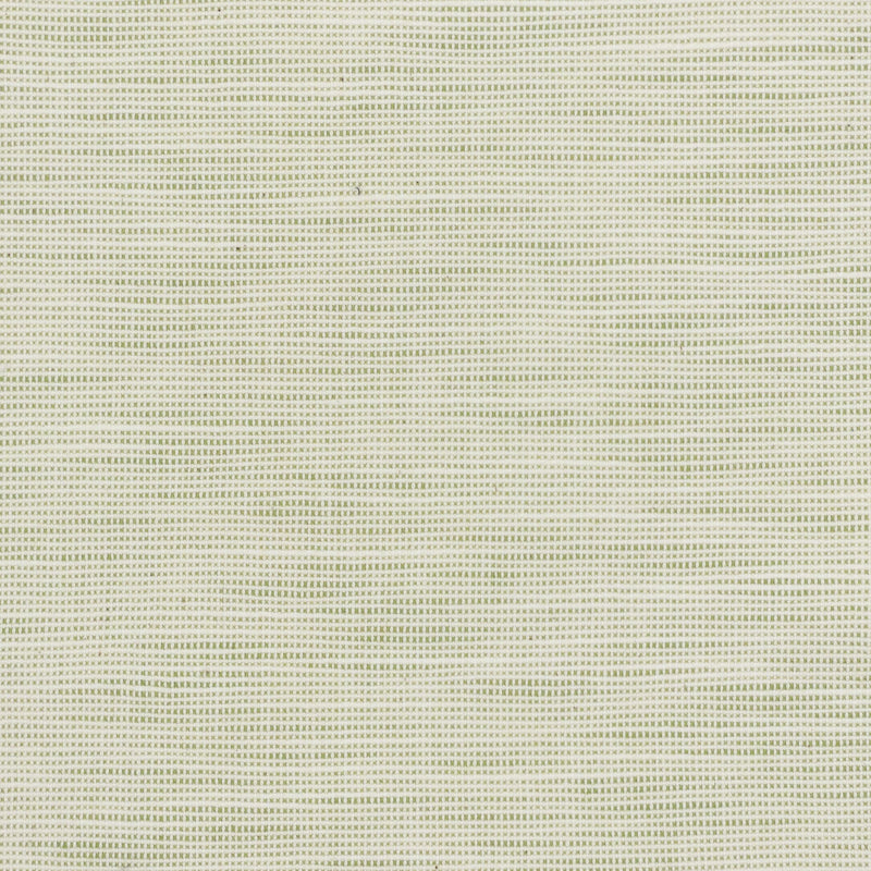 STOUT DISBELIEVE 3 PEAR Fabric | Atlanta Fabrics