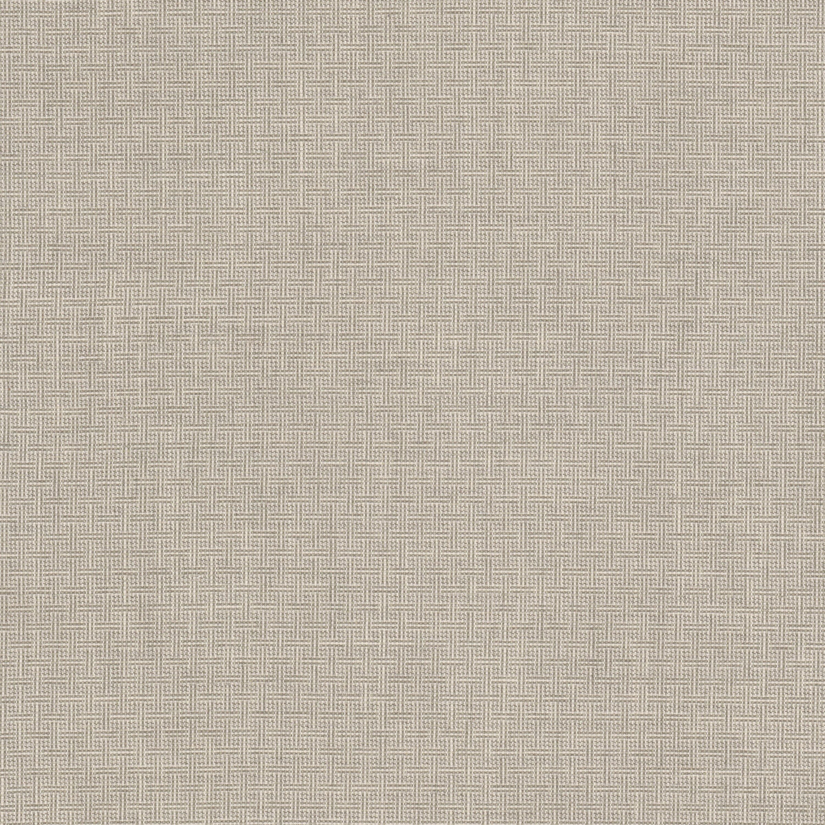 STOUT DOBBIE 2 PUMICE Fabric | Atlanta Fabrics