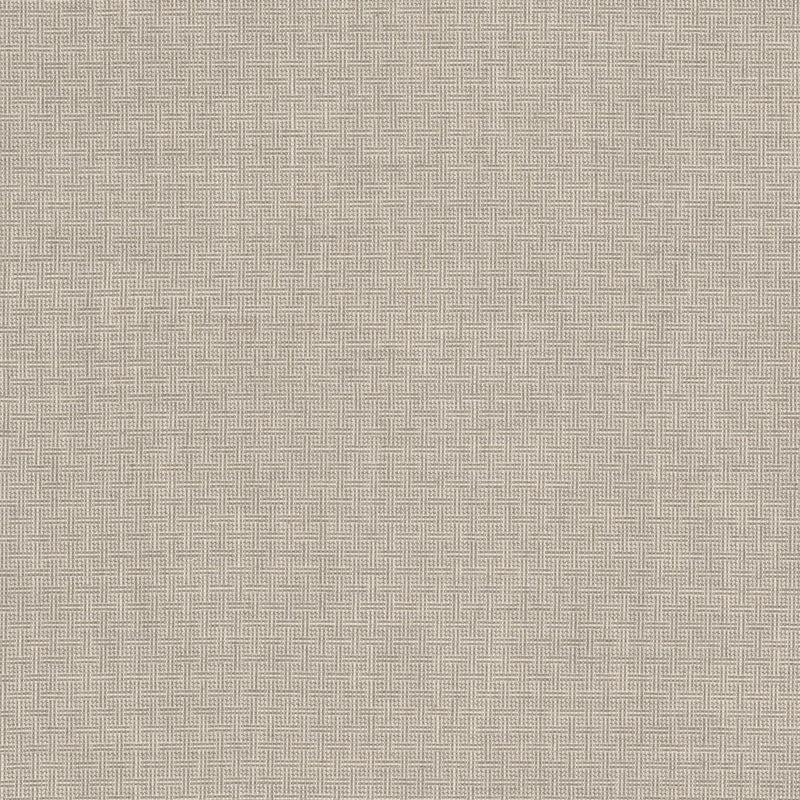 STOUT DOBBIE 2 PUMICE Fabric | Atlanta Fabrics