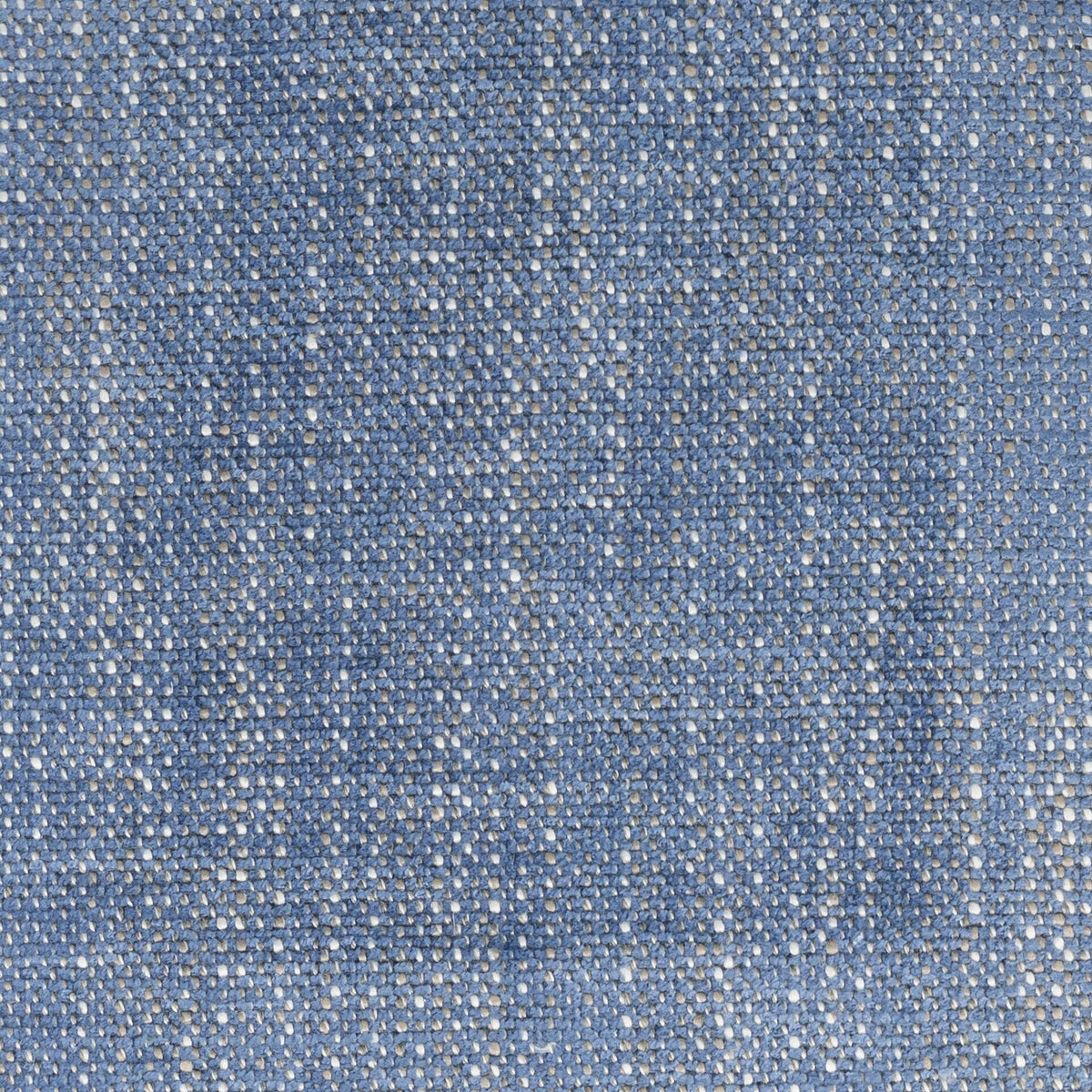 DOCTRINE 1 BLUEBIRD