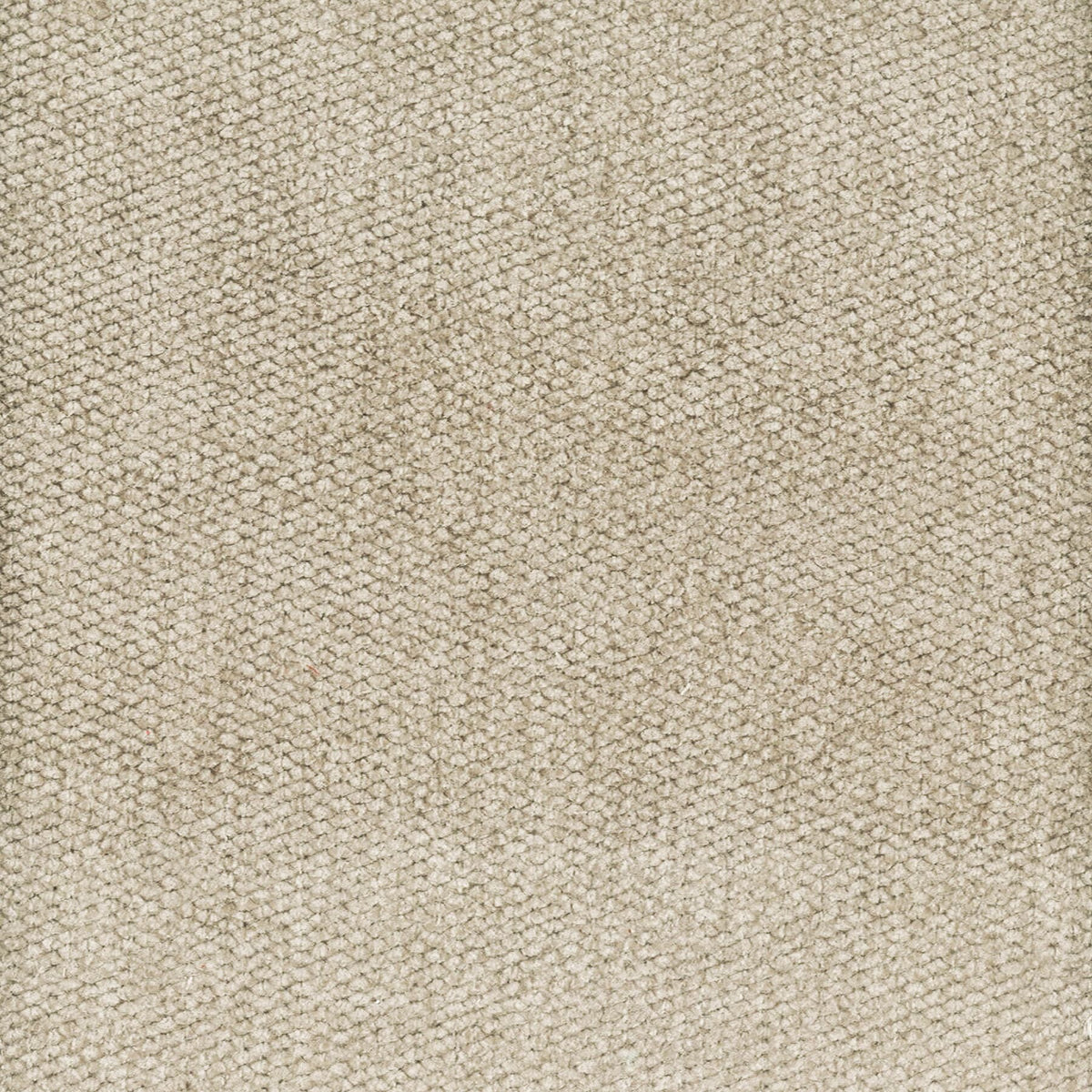 STOUT DOME 2 DOVE Fabric | Atlanta Fabrics