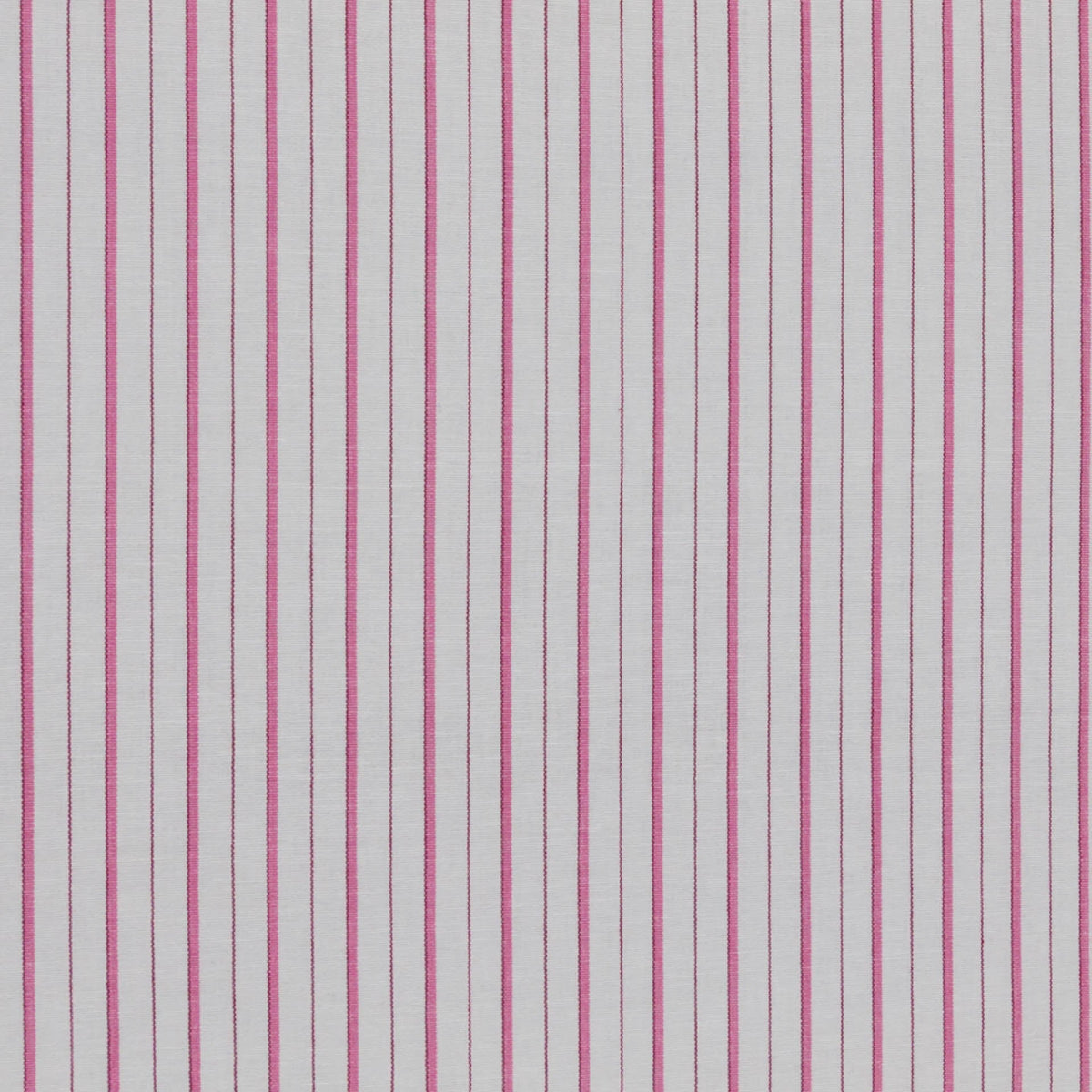 DOCKSIDE STRIPE / PEONY