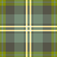 Dungarvan Plaid Green