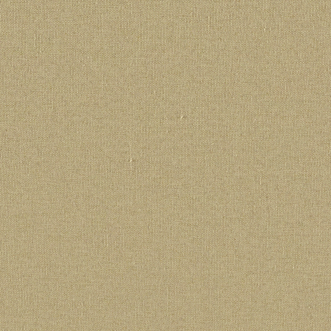 ECLIPSE OLIVE