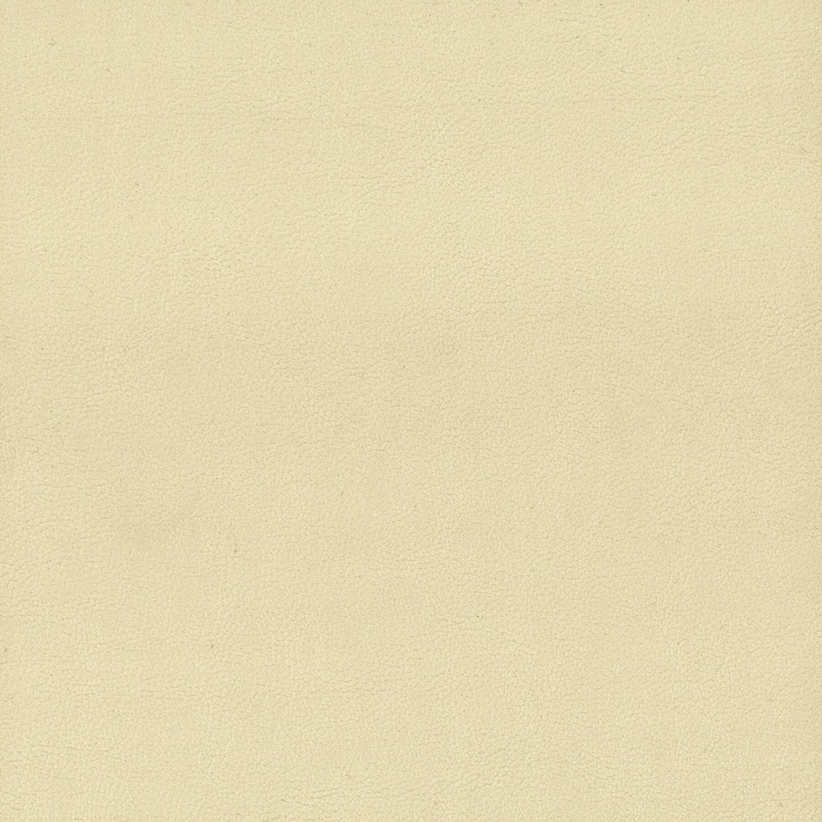 ELBERT 1 PARCHMENT