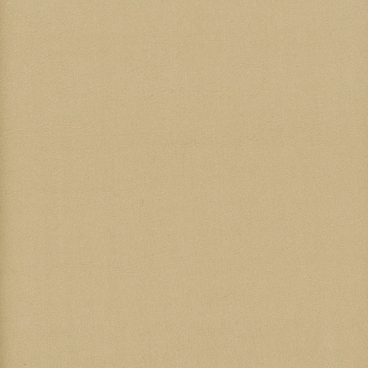 ELBERT 12 JUTE