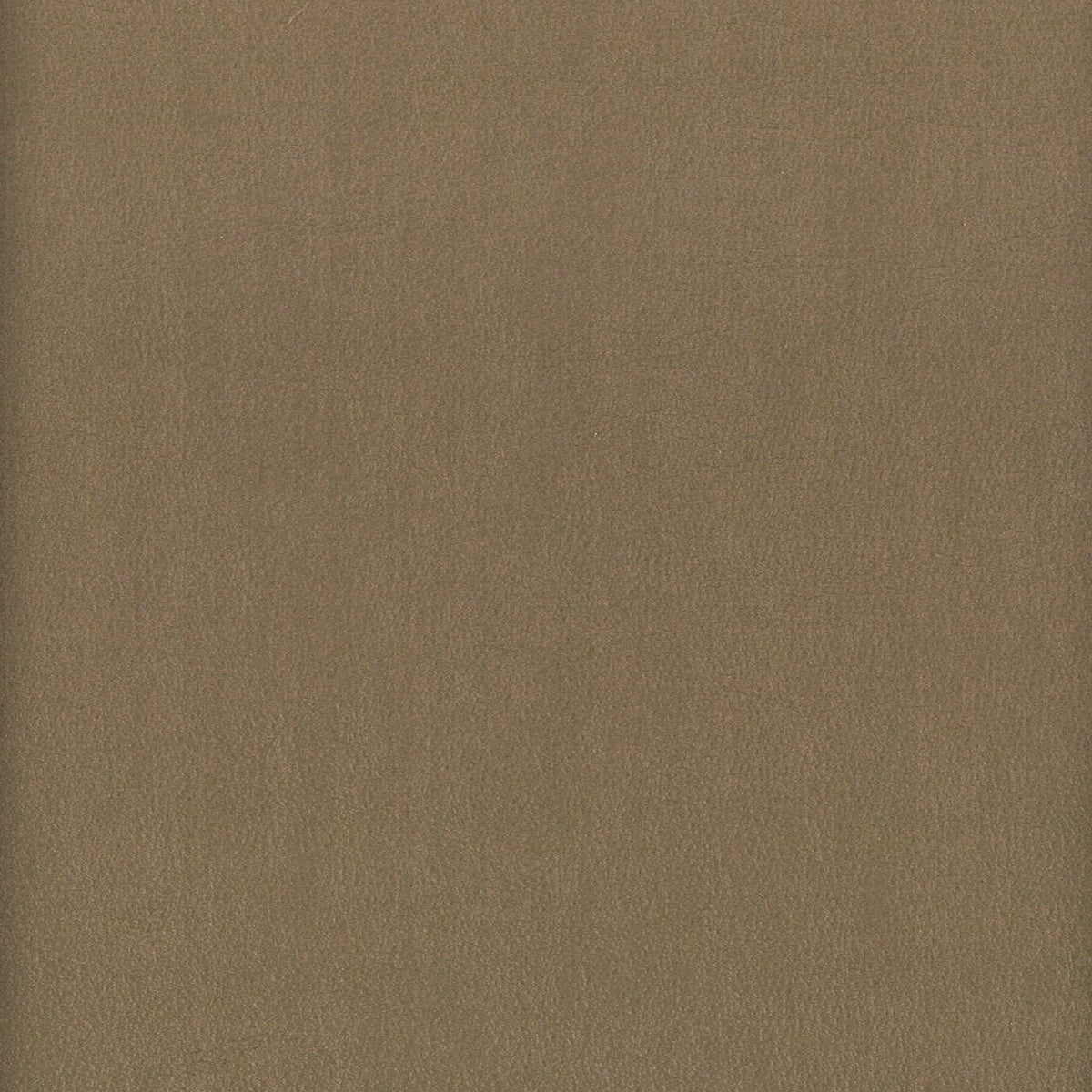 ELBERT 6 SHADOW