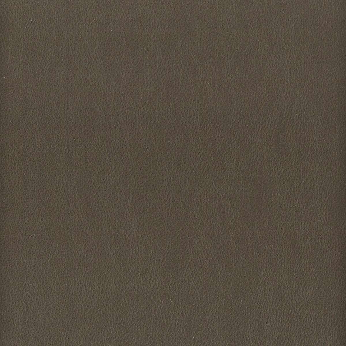 ELBERT 7 GUNMETAL