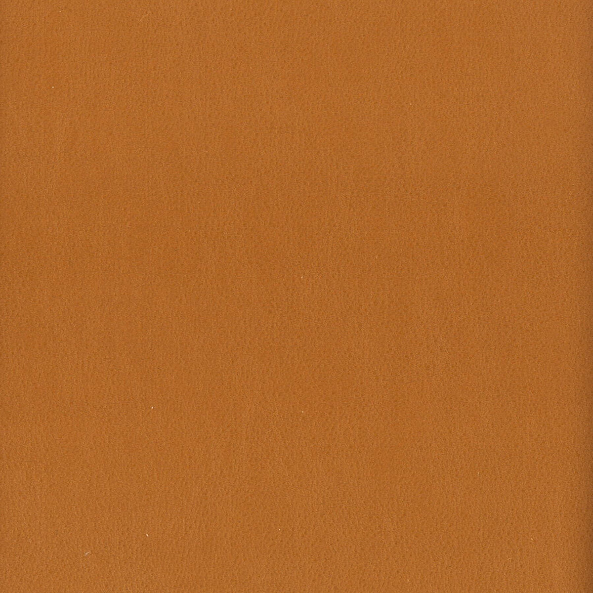 STOUT ELBERT 8 CASHEW Fabric | Atlanta Fabrics