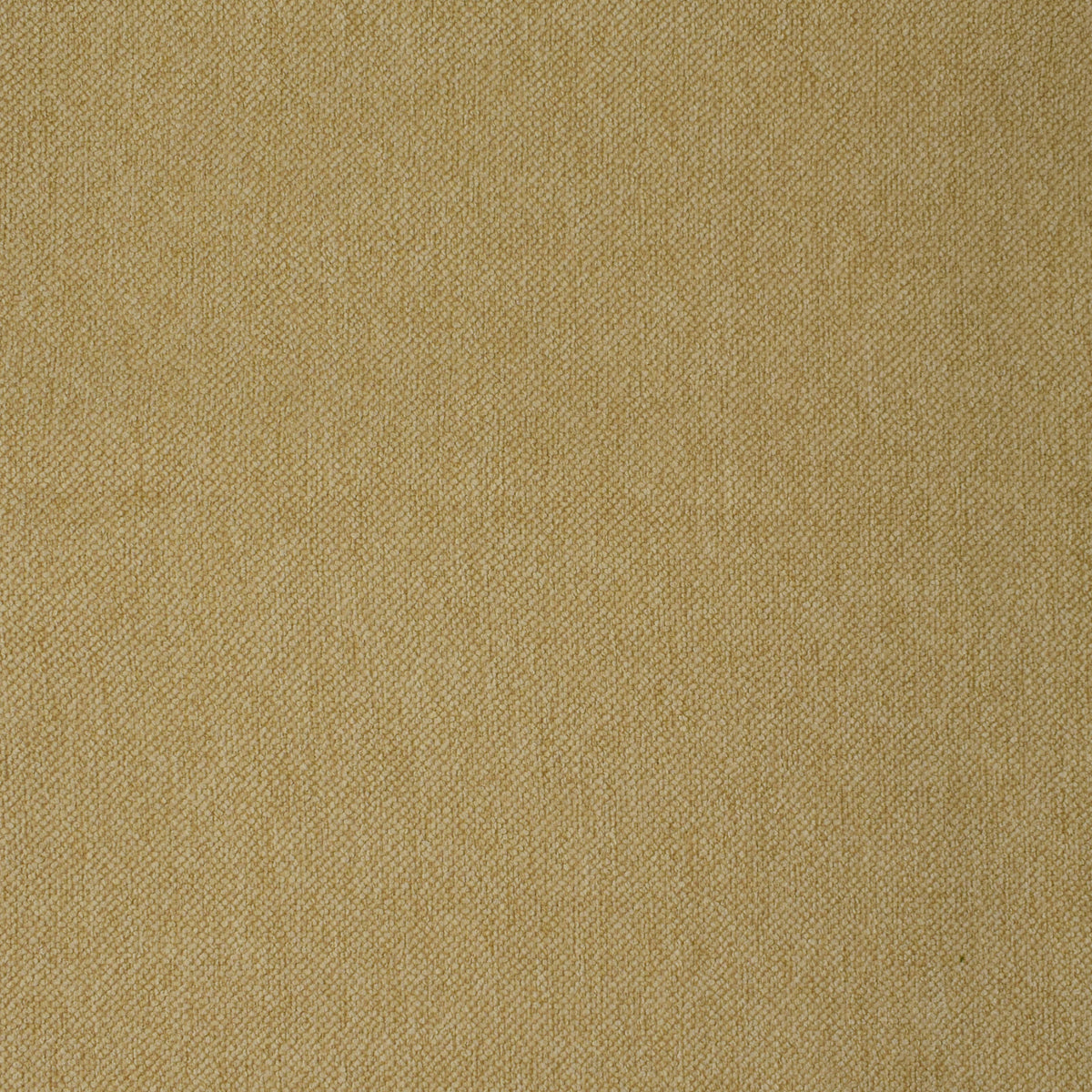 Greenhouse F3745 Fabric | Atlanta Fabrics