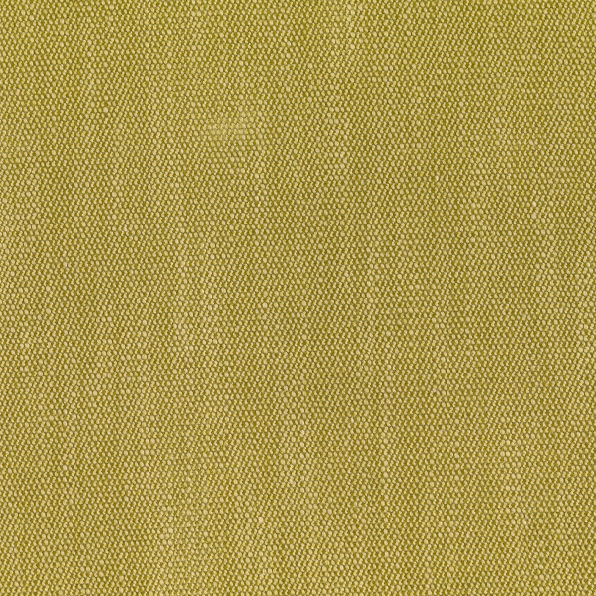 Greenhouse F4093 Fabric | Atlanta Fabrics