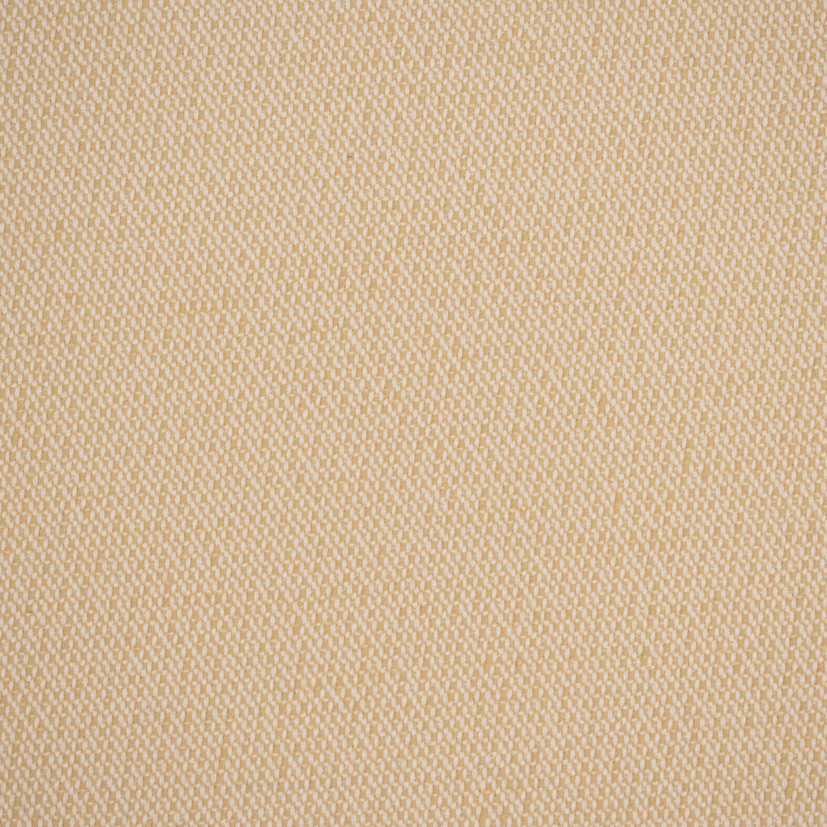 Greenhouse F4546 Fabric | Atlanta Fabrics