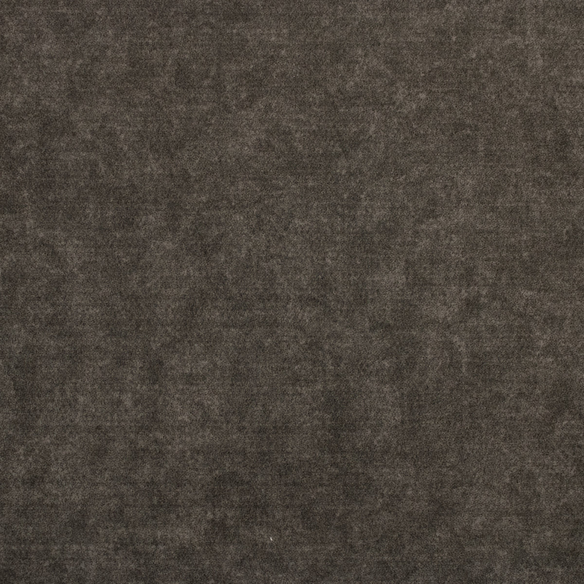 Greenhouse F4895  | Atlanta Fabrics