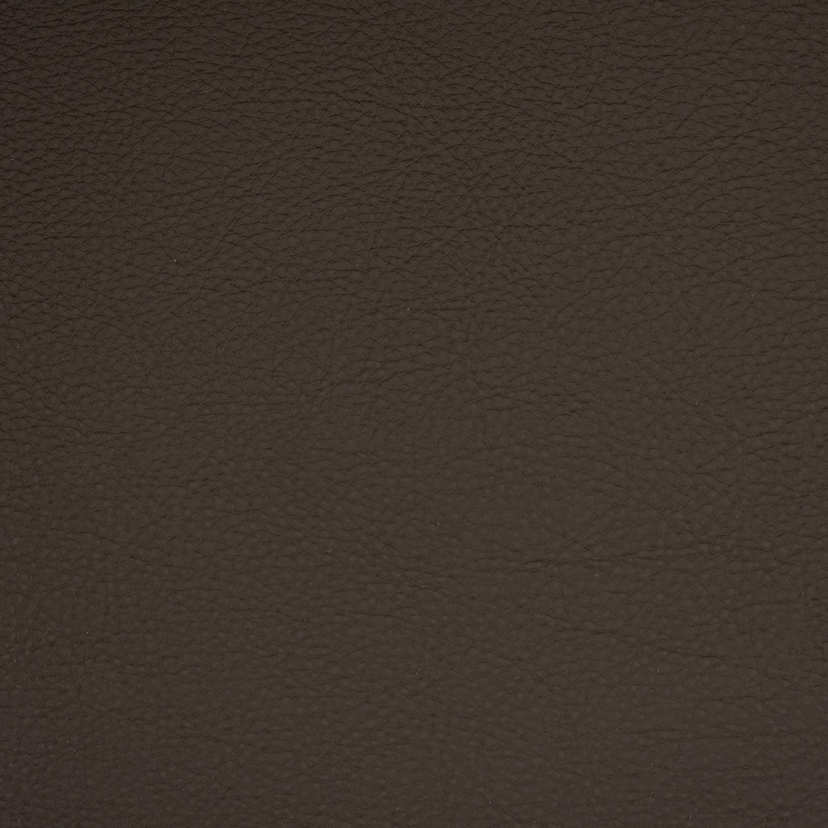 Greenhouse F4916  | Atlanta Fabrics