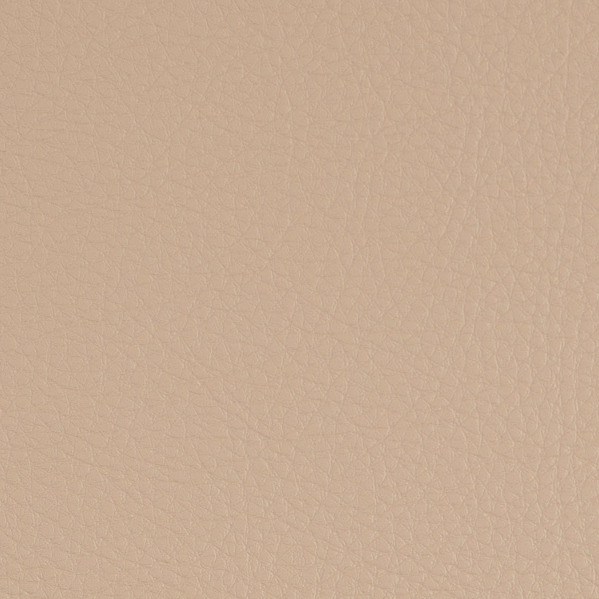 Greenhouse F4948  | Atlanta Fabrics
