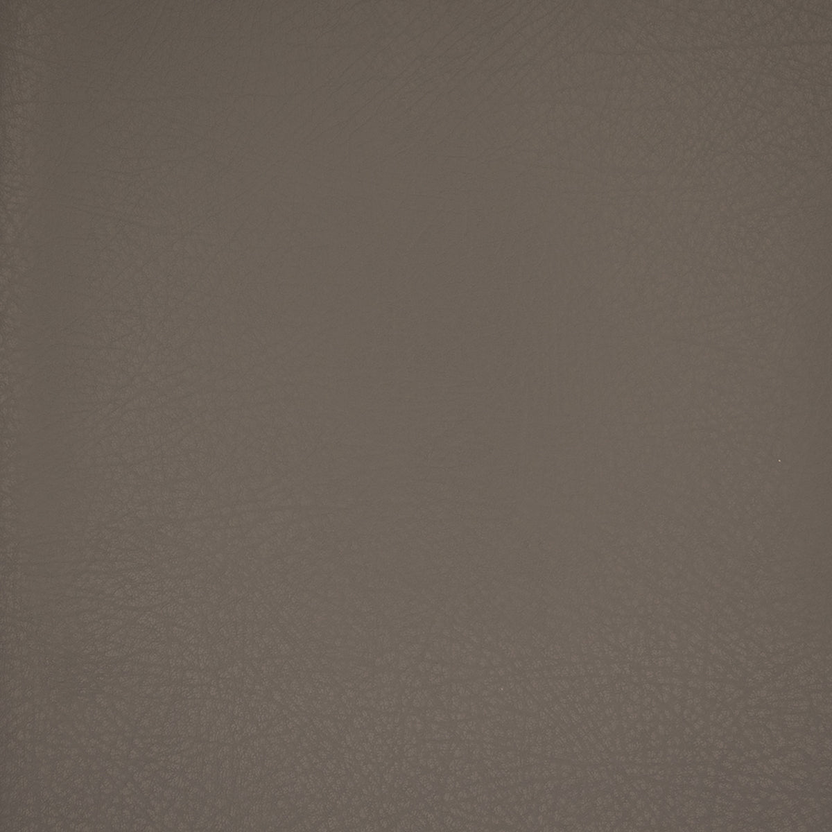Greenhouse F4980  | Atlanta Fabrics