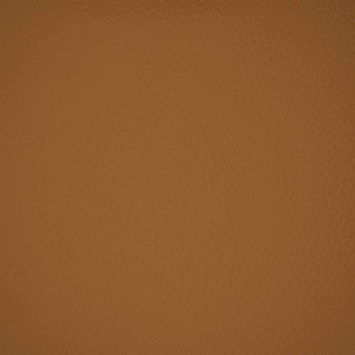 Greenhouse F4981  | Atlanta Fabrics