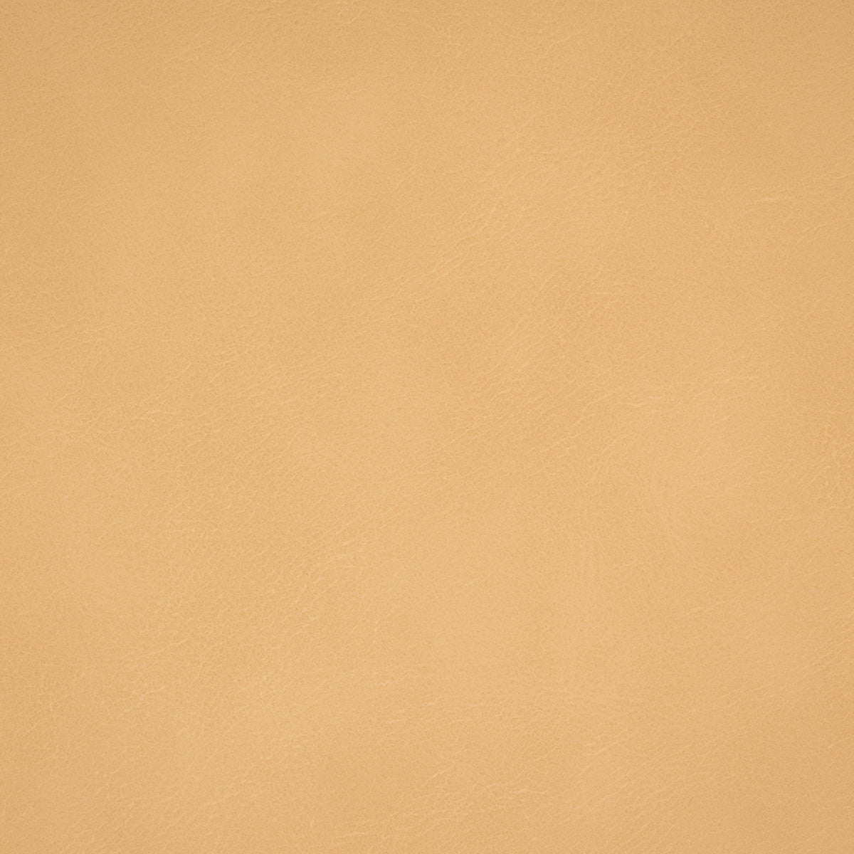 Greenhouse F4982  | Atlanta Fabrics